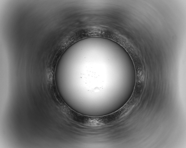 X0000096400753200801241200