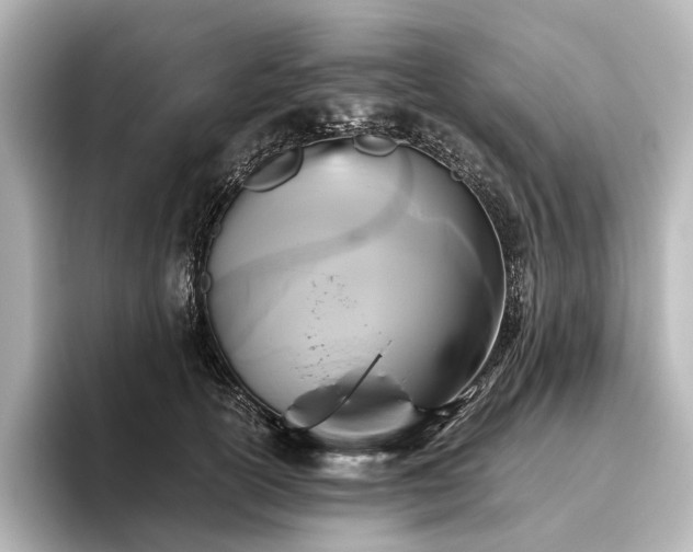 X0000096400754200801241200