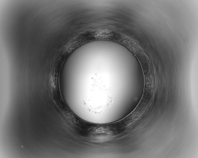 X0000096400755200801241200