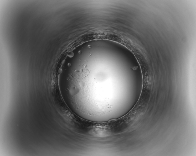 X0000096400756200801241200