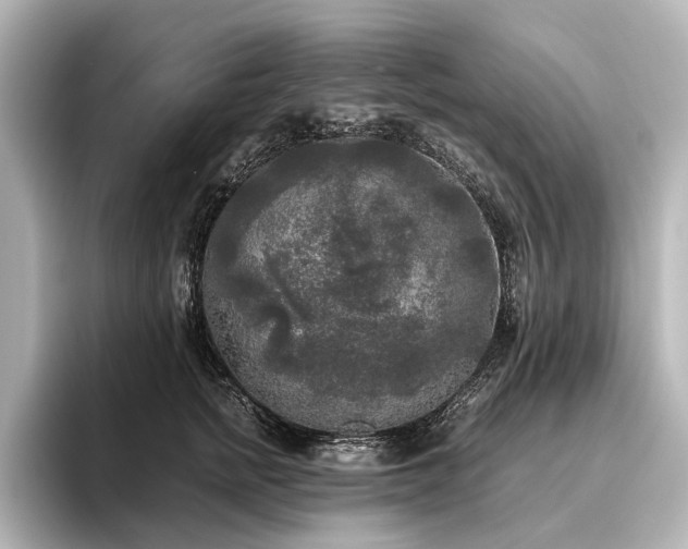 X0000096400758200801241200