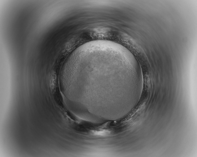 X0000096400760200801241200