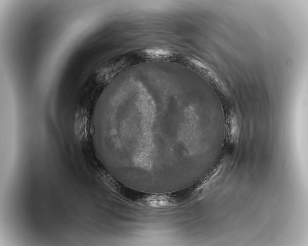 X0000096400762200801241200