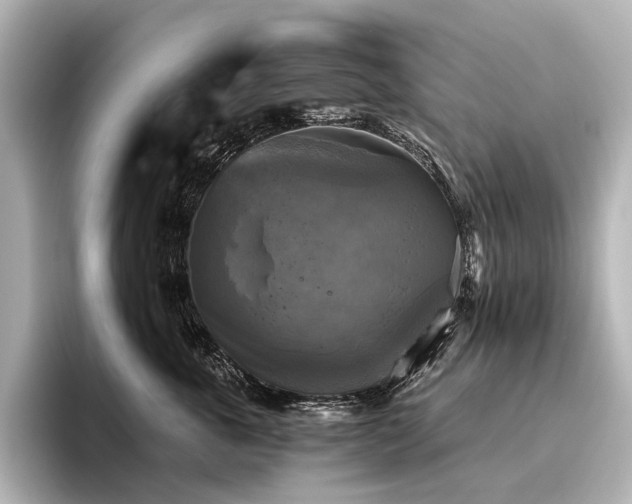 X0000096400763200801241200