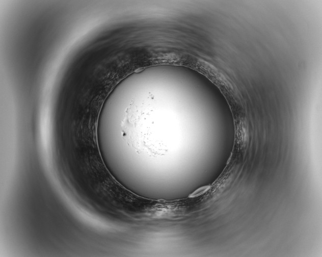 X0000096400764200801241200