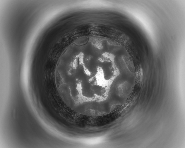 X0000096400765200801241200