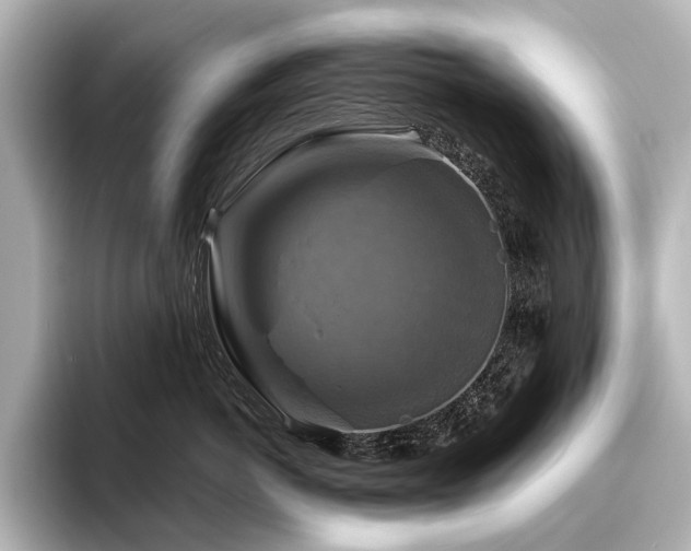 X0000096400766200801241200