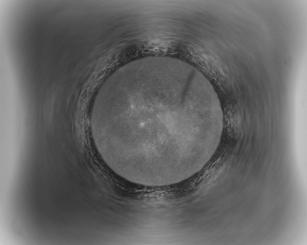 X0000096400769200801241200