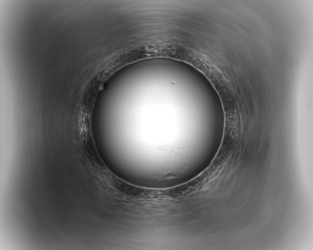 X0000096400770200801241200