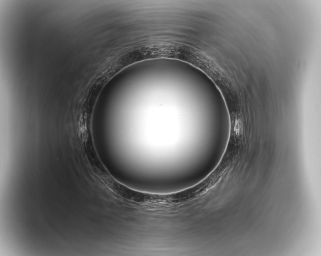 X0000096400771200801241200