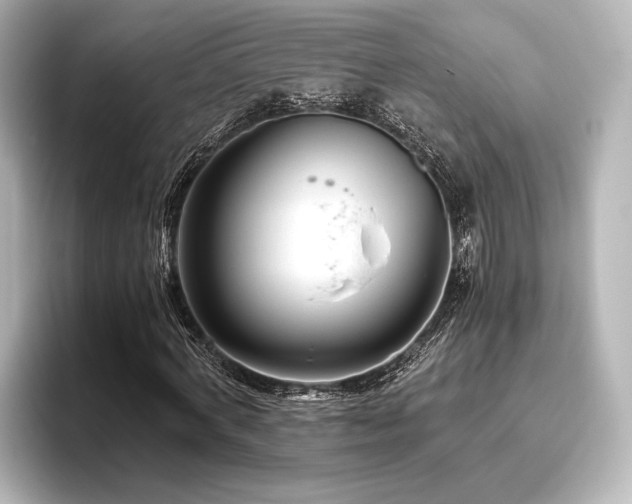 X0000096400772200801241200