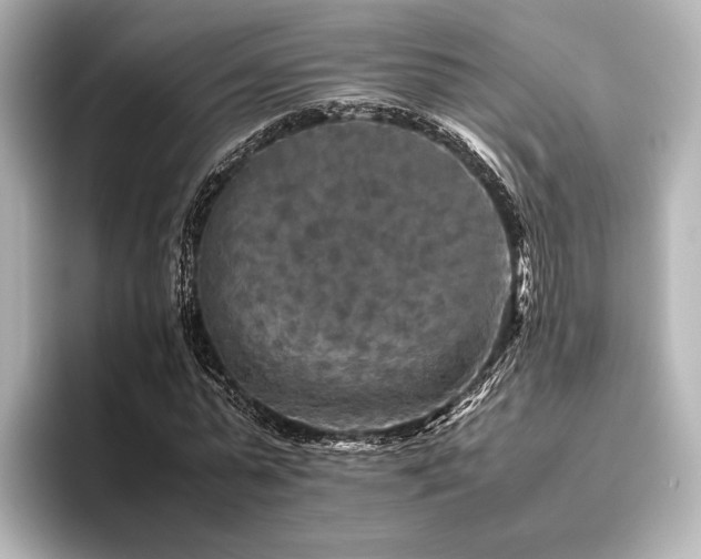 X0000096400775200801241200