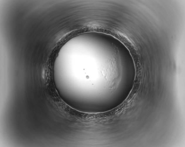 X0000096400776200801241200