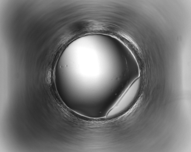 X0000096400777200801241200