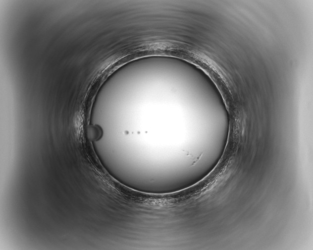 X0000096400778200801241200