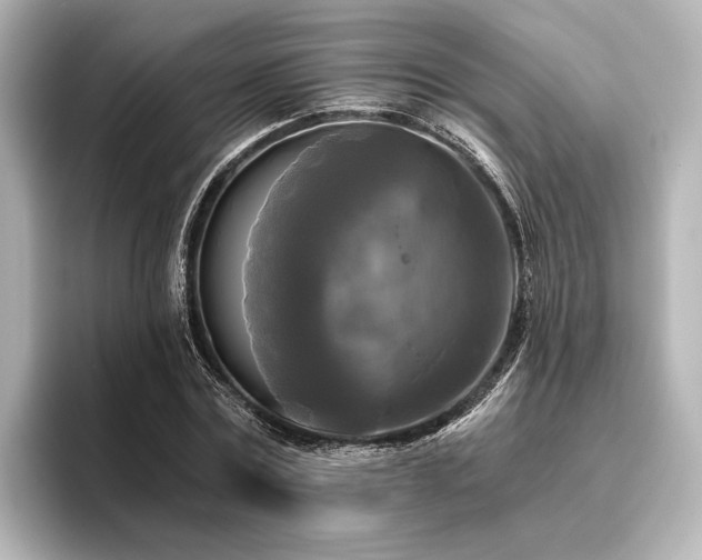 X0000096400779200801241200