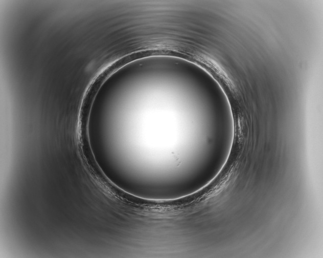 X0000096400780200801241200