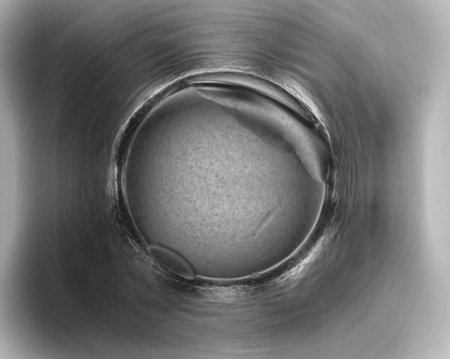 X0000096400781200801241200