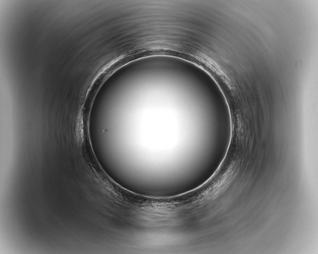 X0000096400782200801241200