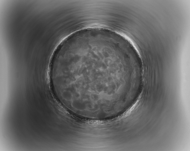 X0000096400783200801241200