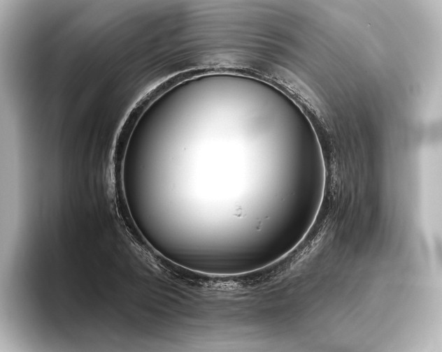 X0000096400784200801241200