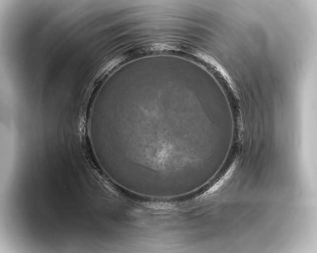 X0000096400785200801241200