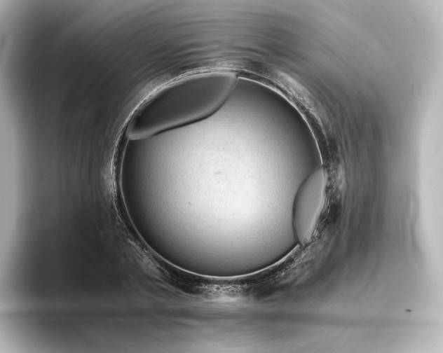 X0000096400789200801241200