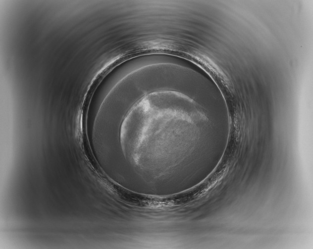 X0000096400790200801241200