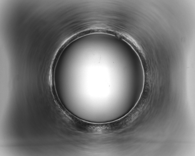 X0000096400791200801241200