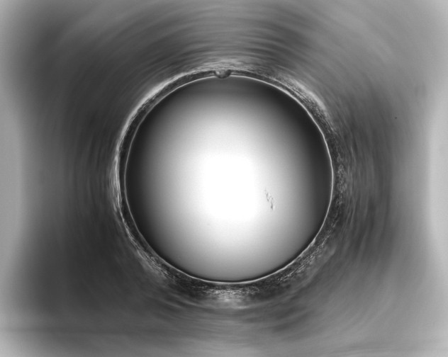 X0000096400792200801241200