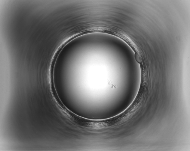 X0000096400795200801241200