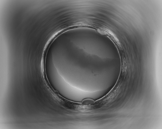 X0000096400796200801241200