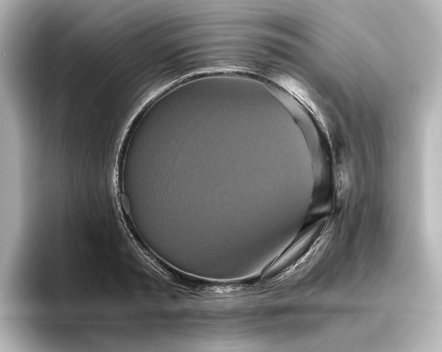 X0000096400797200801241200