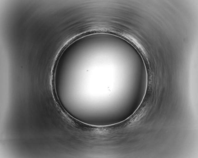 X0000096400799200801241159