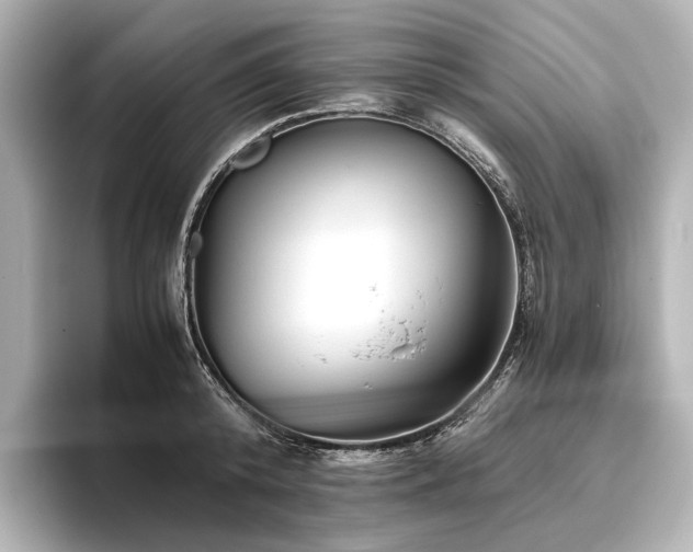 X0000096400800200801241159