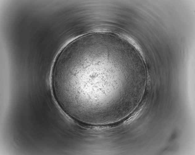 X0000096400803200801241159