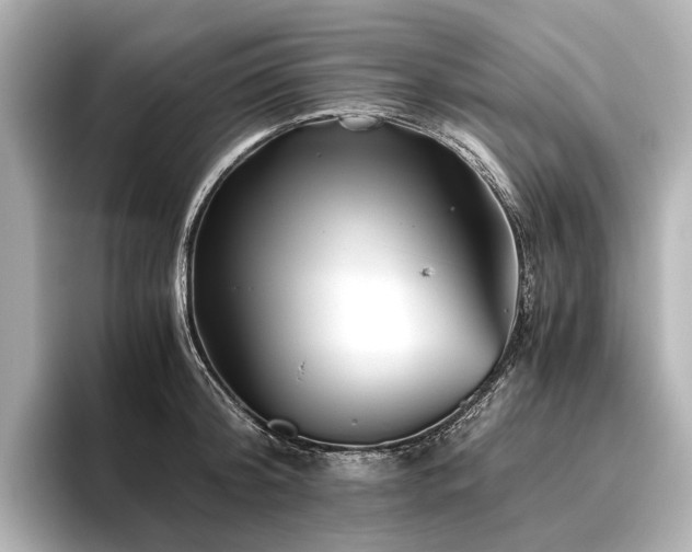 X0000096400804200801241159