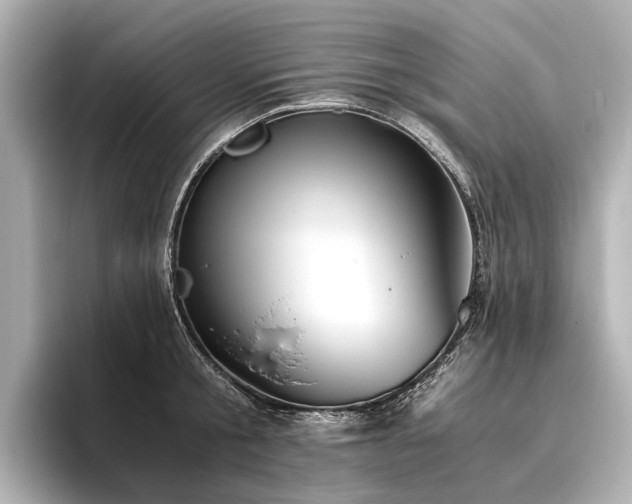 X0000096400805200801241159