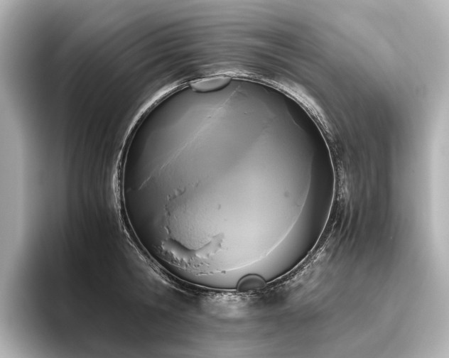 X0000096400806200801241159