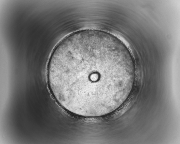 X0000096400807200801241159