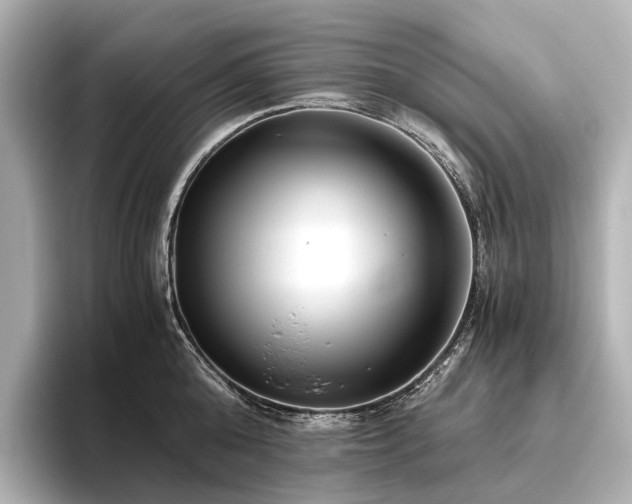 X0000096400808200801241159