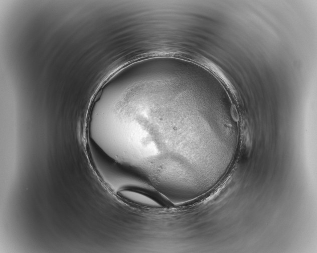 X0000096400810200801241159