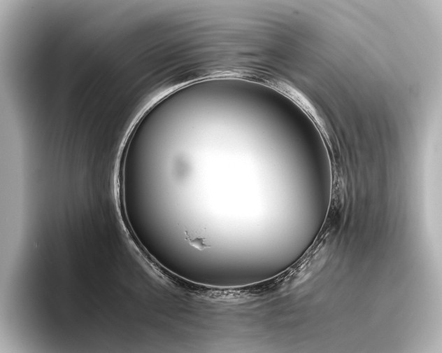 X0000096400811200801241159