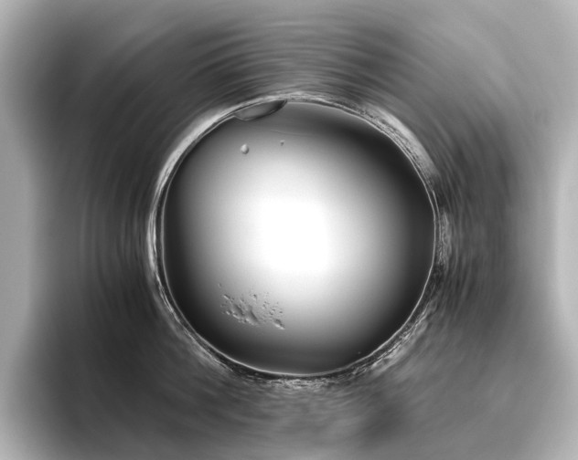 X0000096400812200801241159