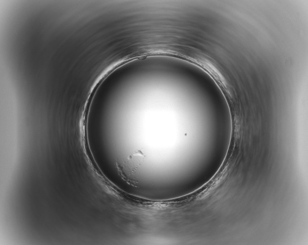 X0000096400814200801241159