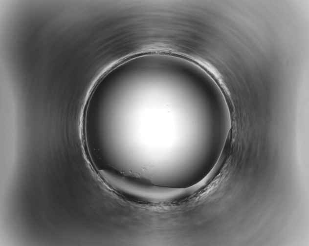 X0000096400815200801241159