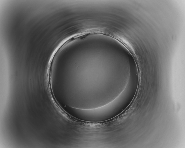 X0000096400816200801241159