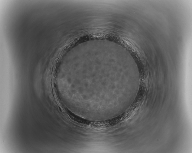 X0000096400817200801241159