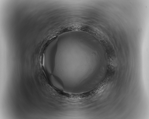 X0000096400818200801241159