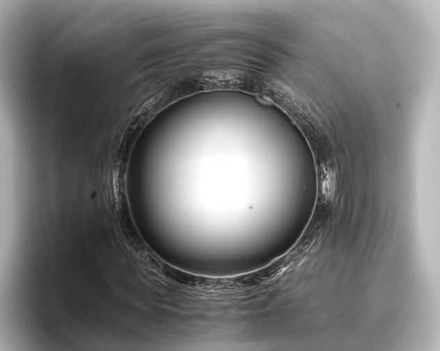 X0000096400819200801241159